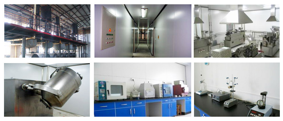 Henan Huirun Pharmaceutical Co., Ltd.